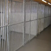 boerderijcamping-wildeboer-zuidwolde-qhflc