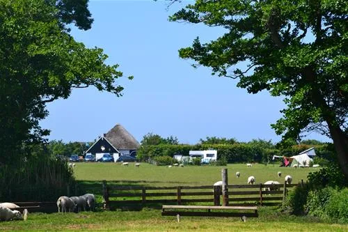 boerderijcamping-don-voorzorg-texel-hhkta