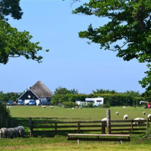 boerderijcamping-don-voorzorg-texel-hhkta