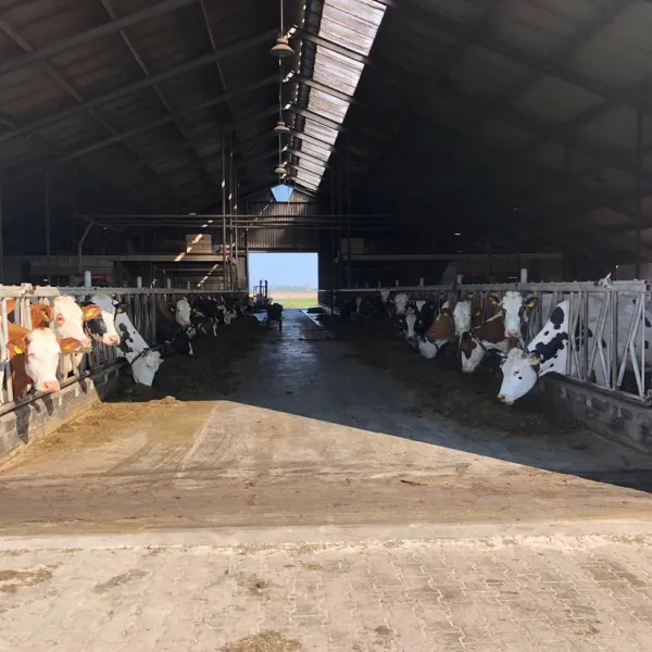 boerderijcamping-don-voorzorg-texel-jozsh
