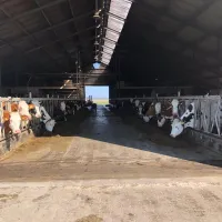 boerderijcamping-don-voorzorg-texel-jozsh