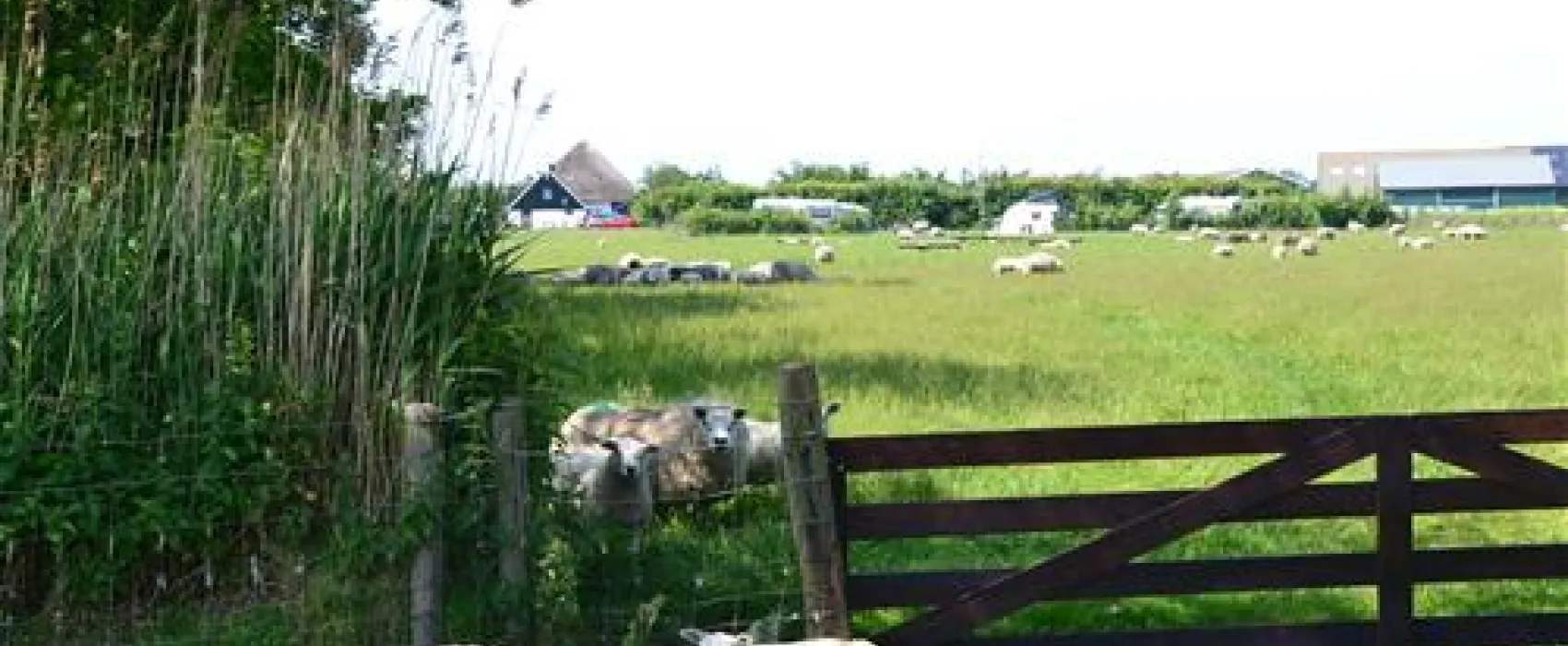 Boerderijcamping Don Voorzorg