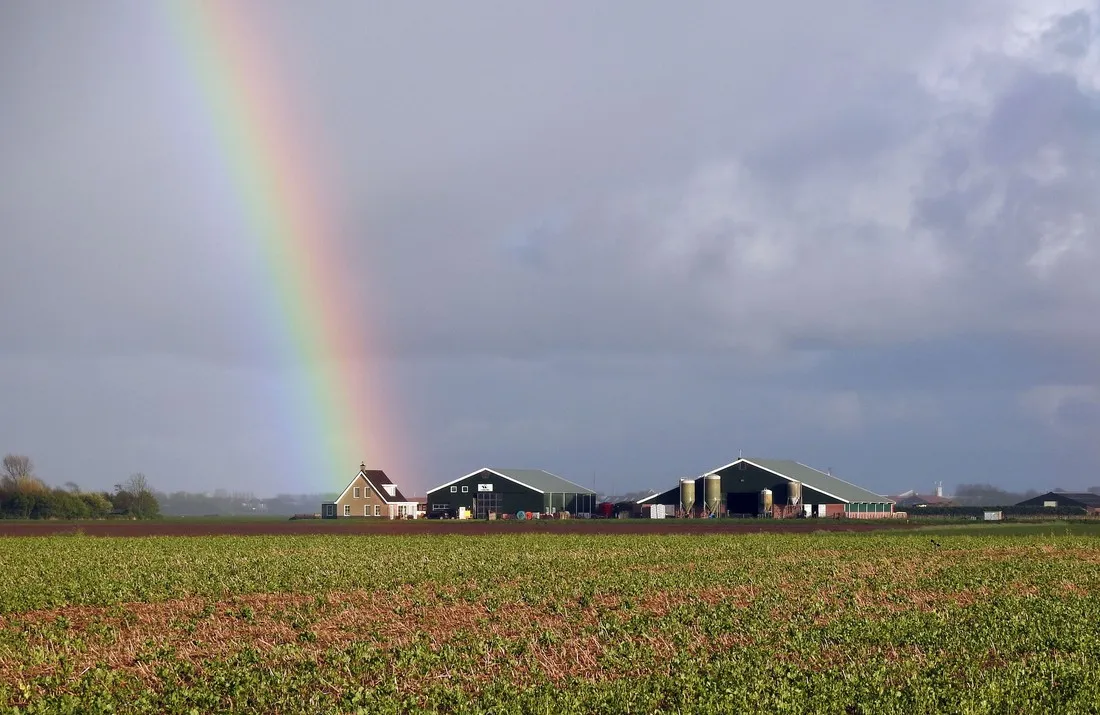 boerderijcamping-don-voorzorg-texel-vt1vz