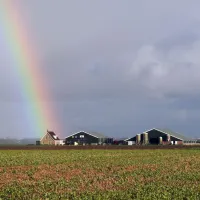 boerderijcamping-don-voorzorg-texel-vt1vz