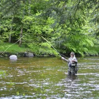 aux-portes-des-mille-sources-bugeat-tbfem