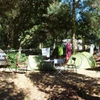 la-celinette-bormes-les-mimosas-hrzgd