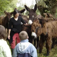 camping-lecurie-du-marais-benet-zafho