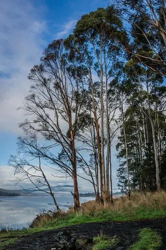 shipwrights-point-regatta-ground-campground-port-huon-bozmx