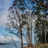 shipwrights-point-regatta-ground-campground-port-huon-bozmx