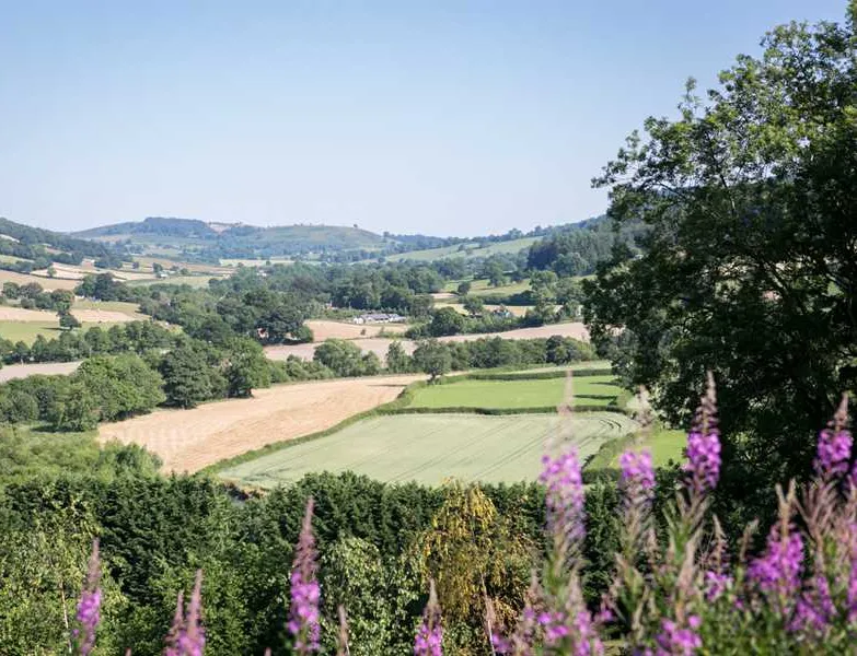 oaklands-glamping-and-treehouse-welshpool-ez2xj