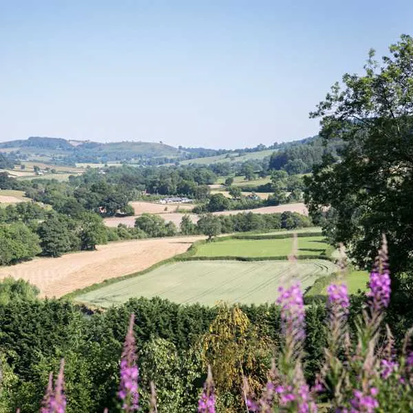 oaklands-glamping-and-treehouse-welshpool-ez2xj
