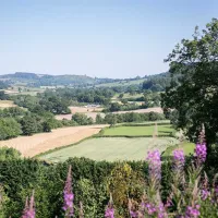 oaklands-glamping-and-treehouse-welshpool-ez2xj