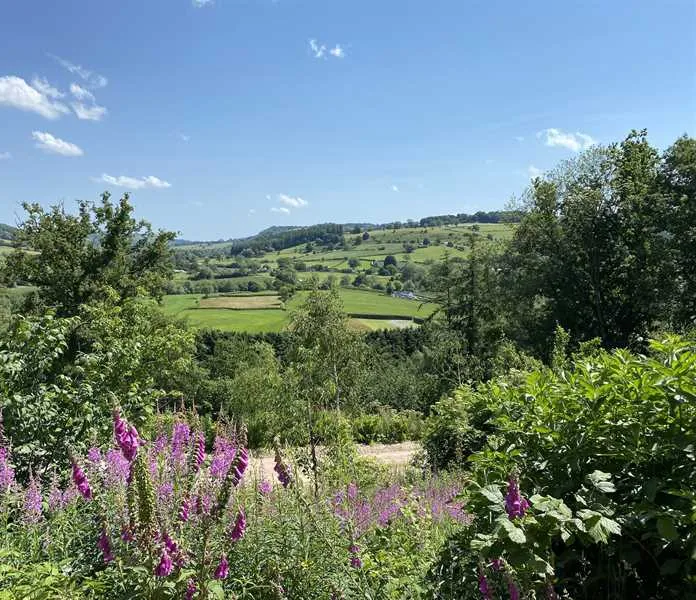oaklands-glamping-and-treehouse-welshpool-psl9x