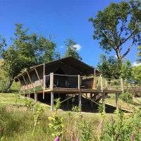 Oaklands Glamping and Treehouse
