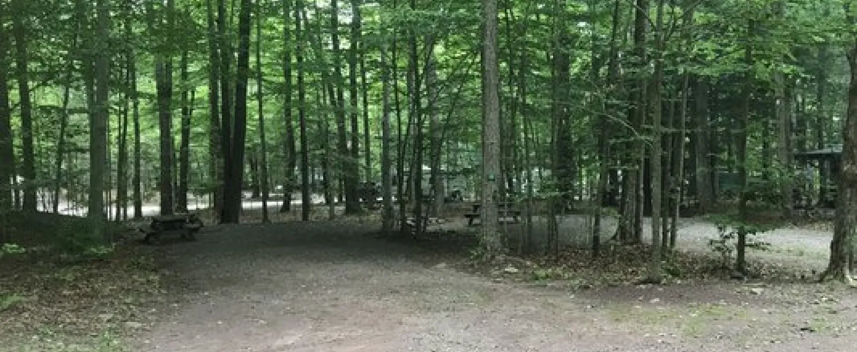 Pioneer Campground