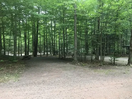 pioneer-campground-muncy-valley-y7ddb