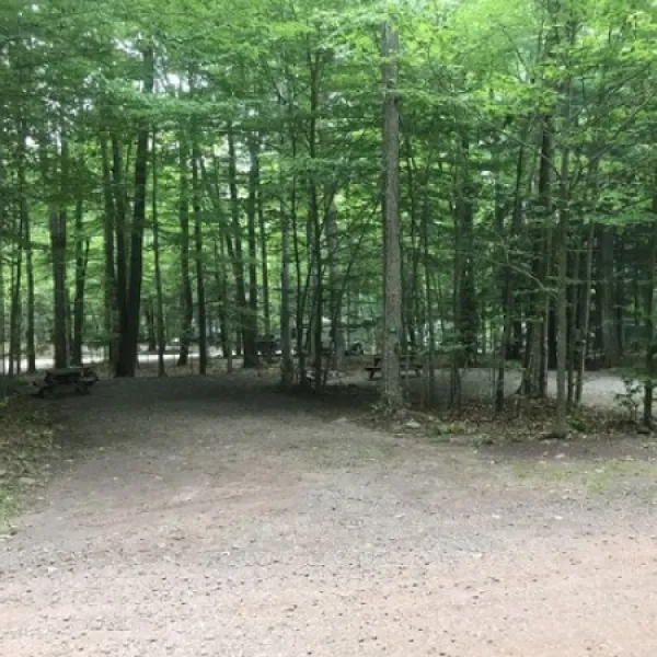pioneer-campground-muncy-valley-y7ddb