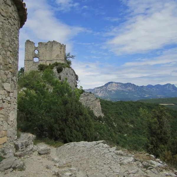 les-lavandes-soyans-drome-gyf4c