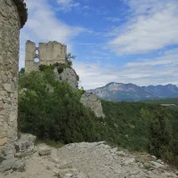 Les Lavandes