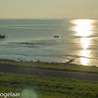 boerderijcamping-perkpolder-walsoorden-3rk2g