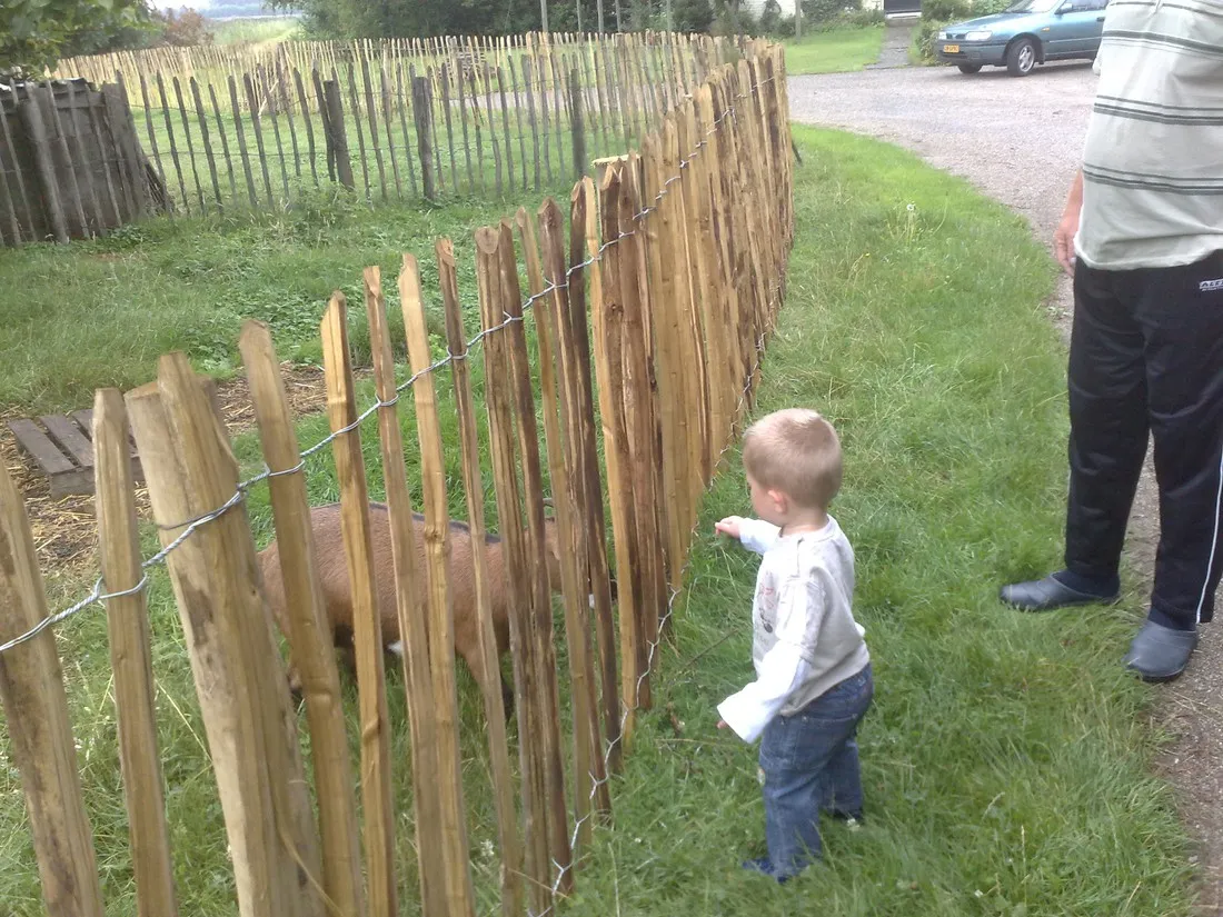 boerderijcamping-perkpolder-walsoorden-vj8xz