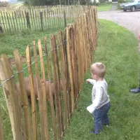 boerderijcamping-perkpolder-walsoorden-vj8xz