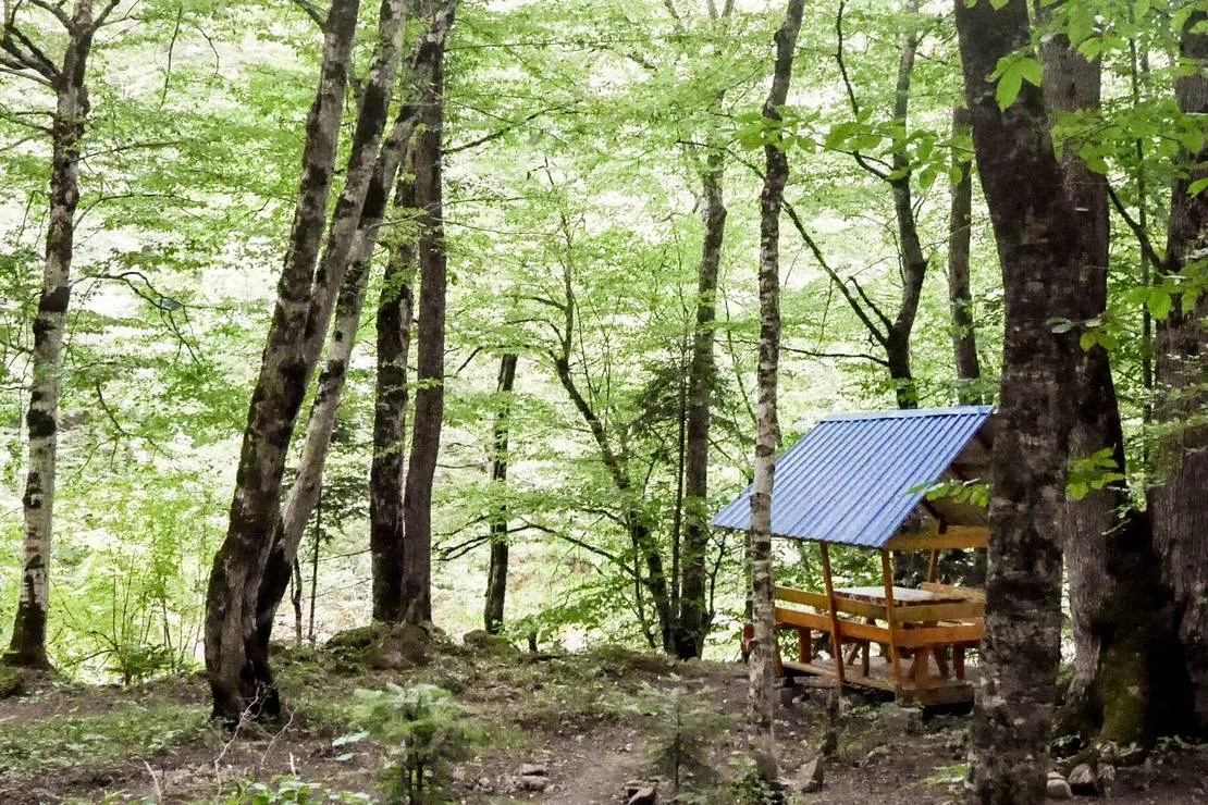 camping-svetlana-khamyshki-ealdi