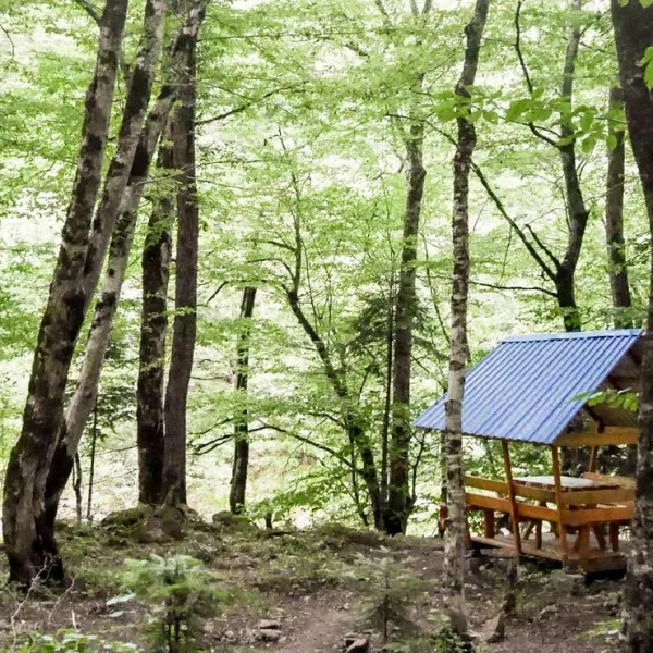 camping-svetlana-khamyshki-ealdi