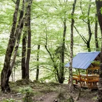 camping-svetlana-khamyshki-ealdi