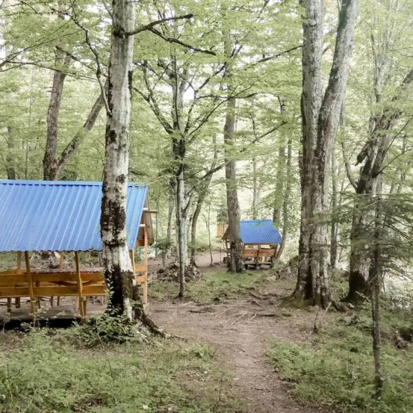 camping-svetlana-khamyshki-l6axx