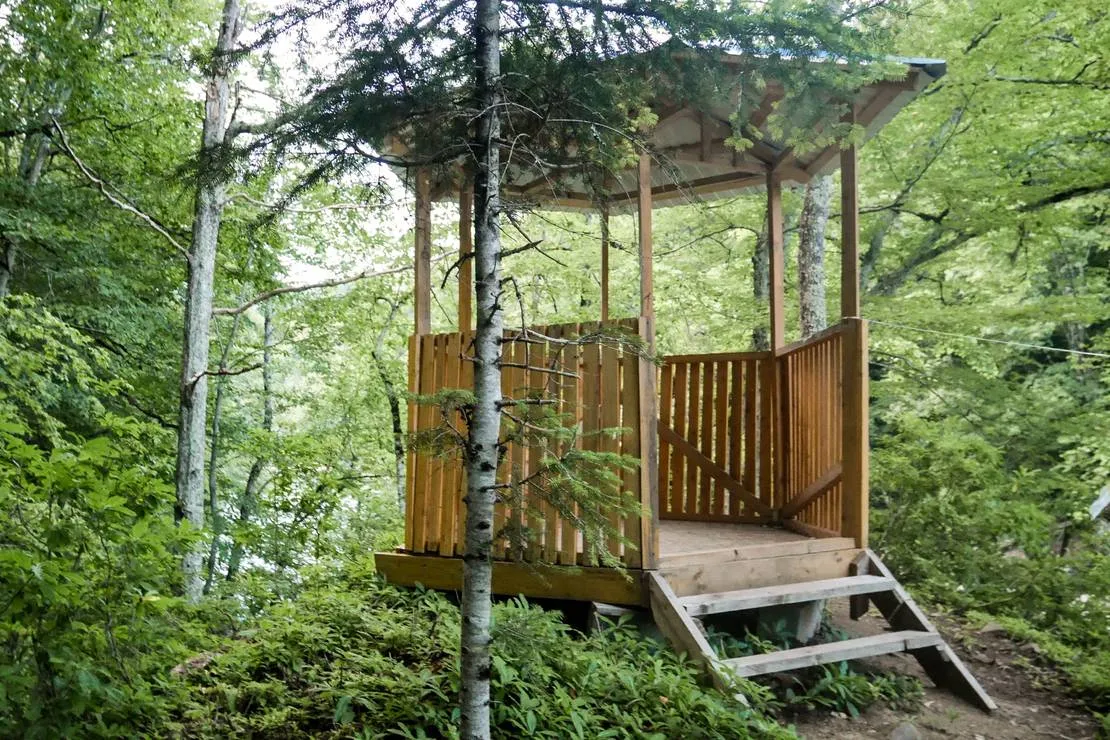 camping-svetlana-khamyshki-lvg7j