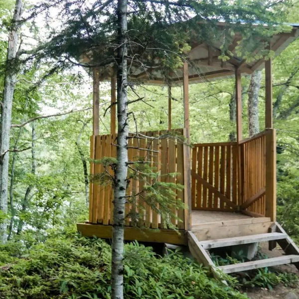 camping-svetlana-khamyshki-lvg7j