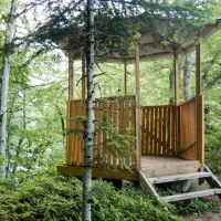 camping-svetlana-khamyshki-lvg7j
