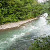 camping-svetlana-khamyshki-phaf8