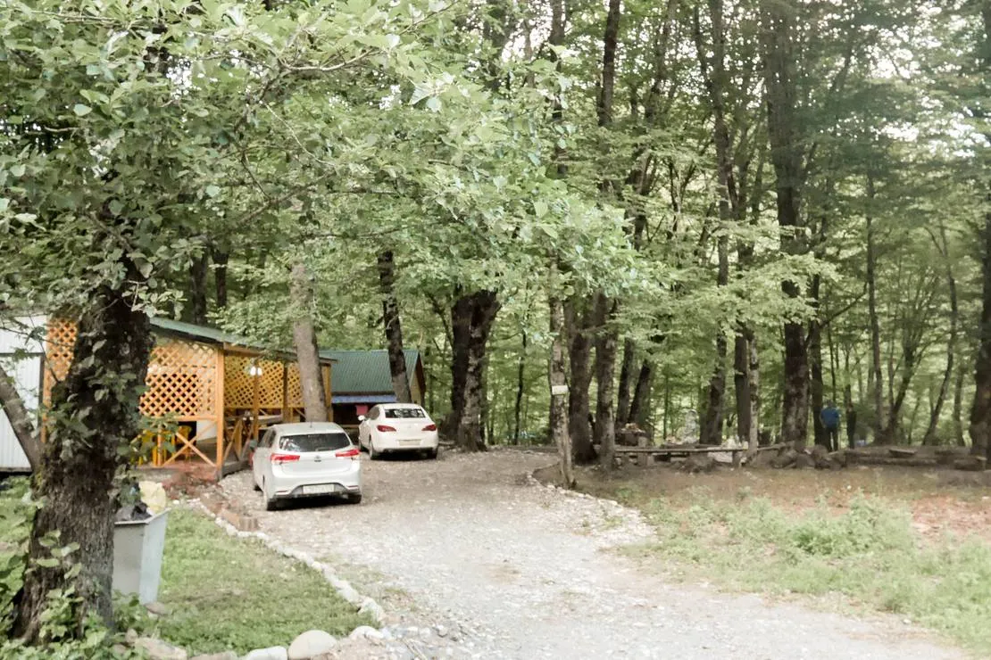camping-svetlana-khamyshki-vgw9q