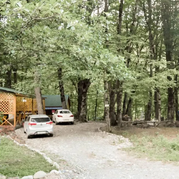 camping-svetlana-khamyshki-vgw9q
