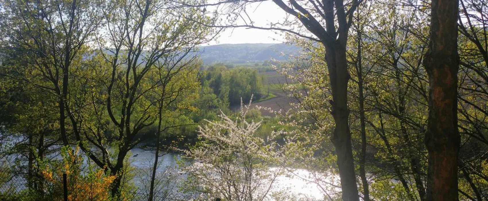 Camping Dunajcowy