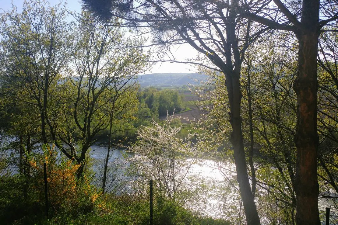 camping-dunajcowy-dabrowka-szczepanowska-gjclg