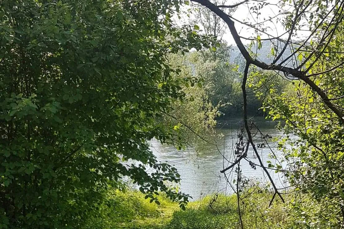 camping-dunajcowy-dabrowka-szczepanowska-llic3
