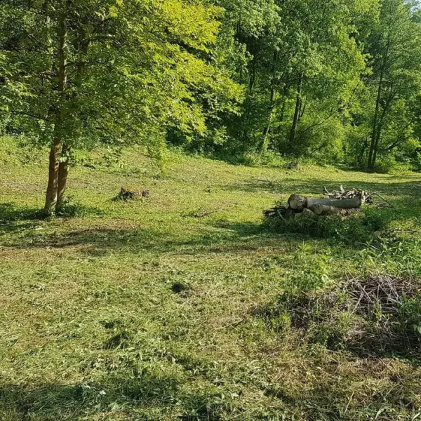 camping-dunajcowy-dabrowka-szczepanowska-pkuht