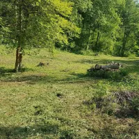 camping-dunajcowy-dabrowka-szczepanowska-pkuht