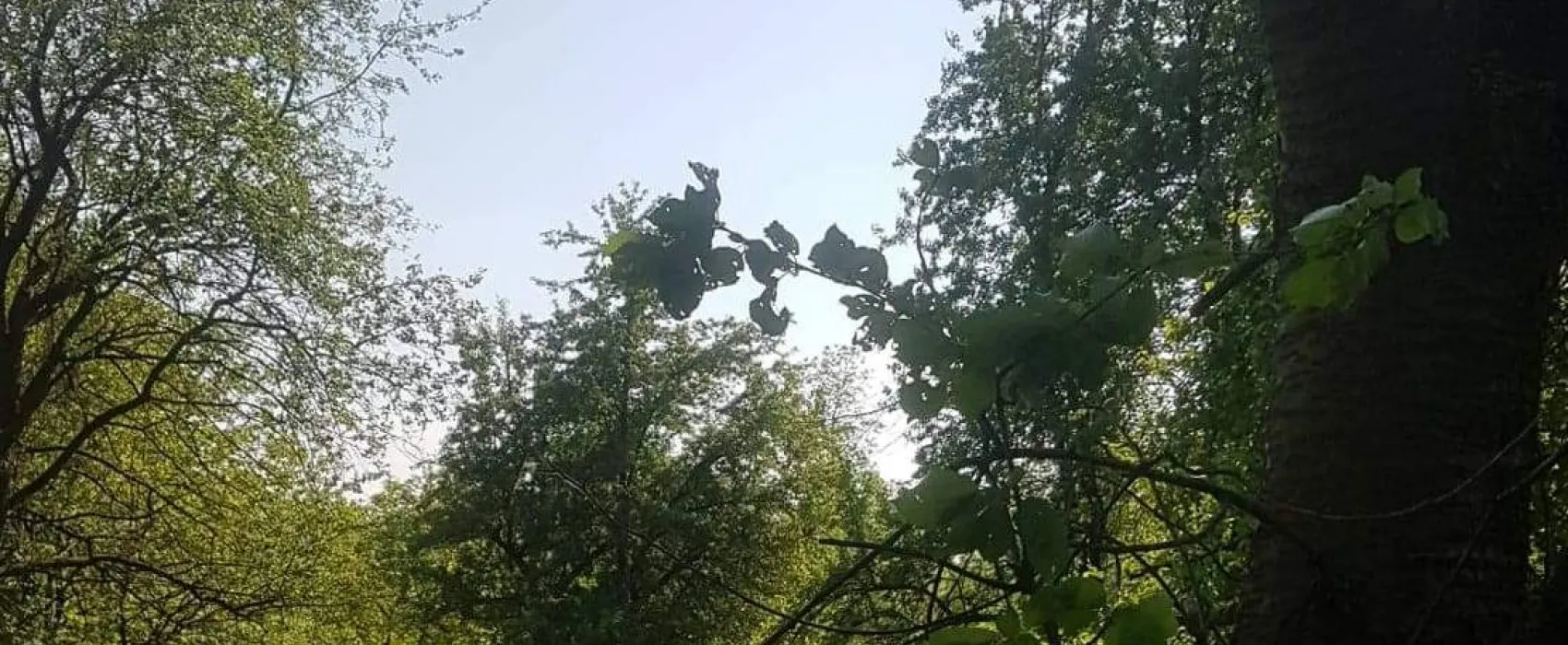 Camping Dunajcowy