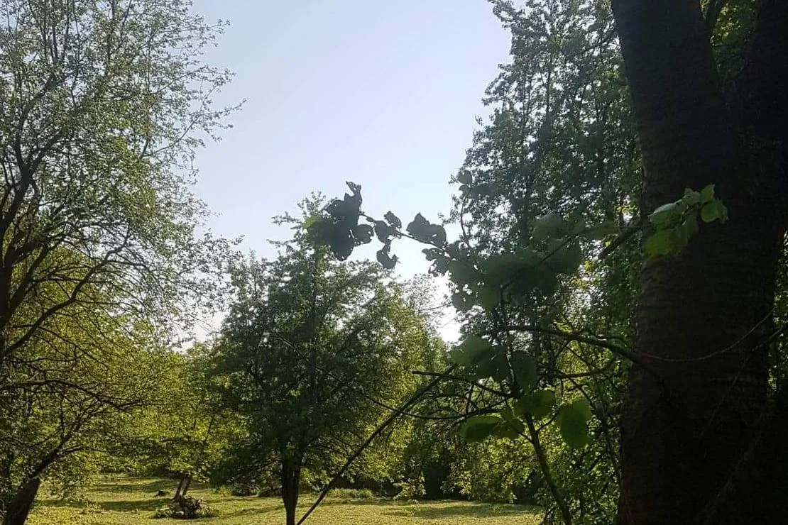 camping-dunajcowy-dabrowka-szczepanowska-xffpf