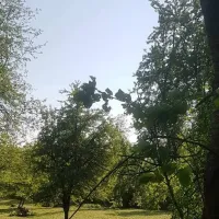 camping-dunajcowy-dabrowka-szczepanowska-xffpf