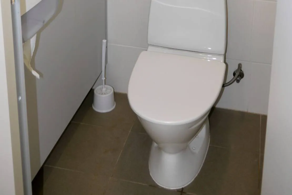 vanamoisa-caravanpark-tallinn-saue-vald-gdrbl