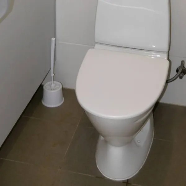 vanamoisa-caravanpark-tallinn-saue-vald-gdrbl