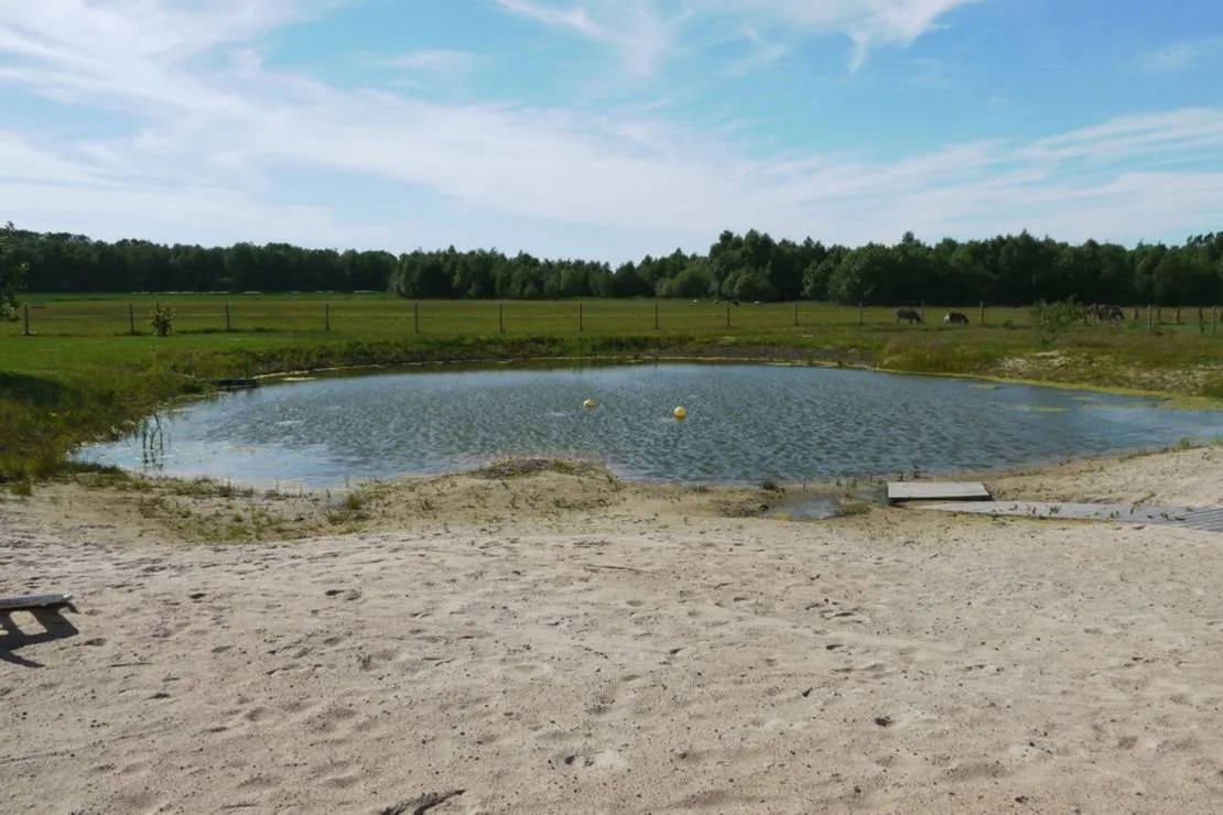 vanamoisa-caravanpark-tallinn-saue-vald-krlcv