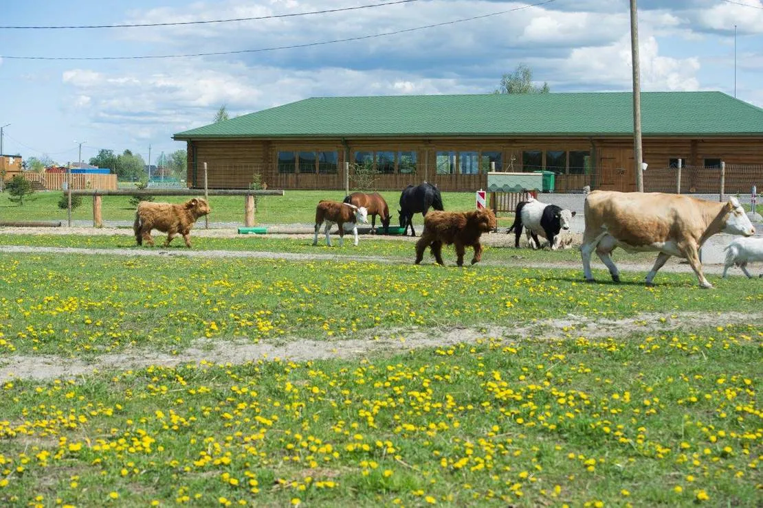 vanamoisa-caravanpark-tallinn-saue-vald-tsznd