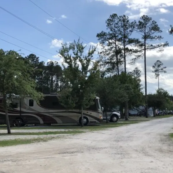 flamingo-lake-rv-resort-jacksonville-pzm24