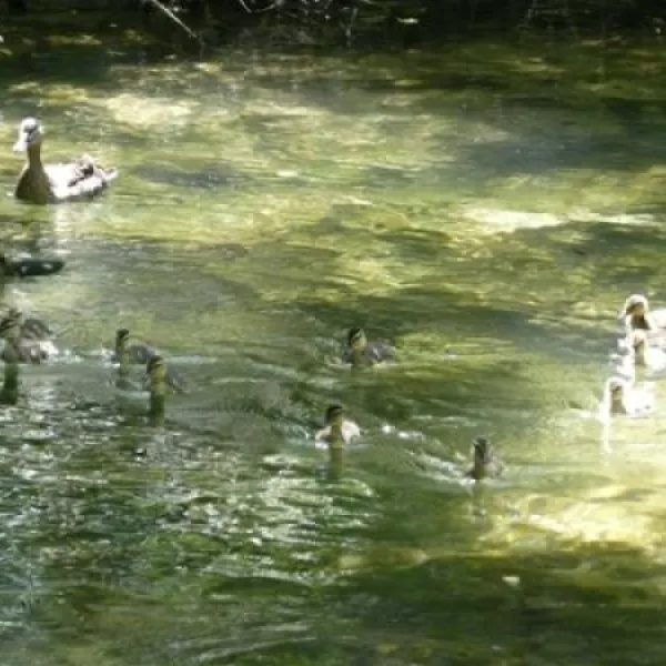 les-cascades-st-cybranet-dordogne-qmhrq